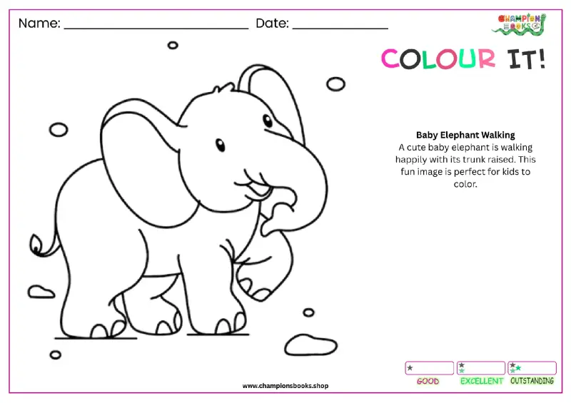 Baby Elephant Coloring Page for Kids - Fun & Free Printable