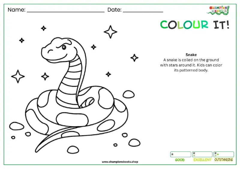 Snake Coloring Page for Kids - Fun Animal Activity