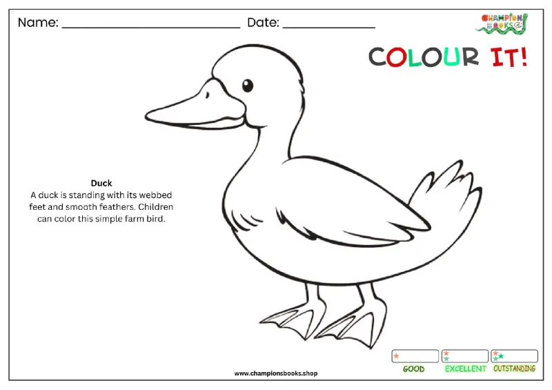 Printable Duck Coloring Page for Kids - Fun Farm Bird Activity