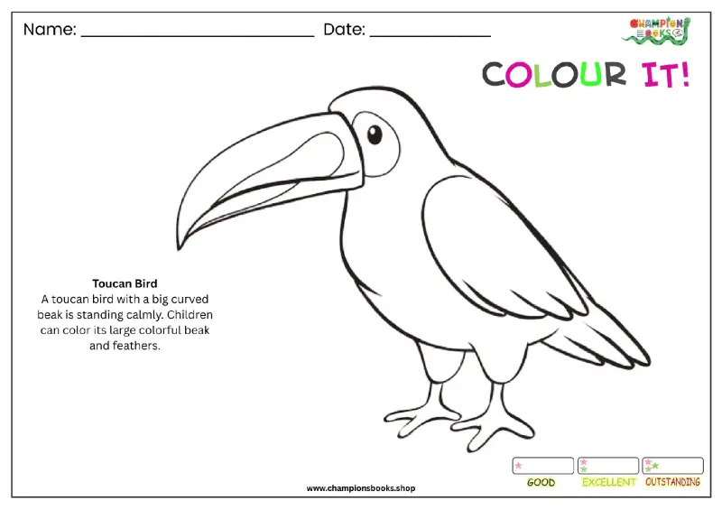 Fun Toucan Coloring Page for Kids | Free Printable Activity
