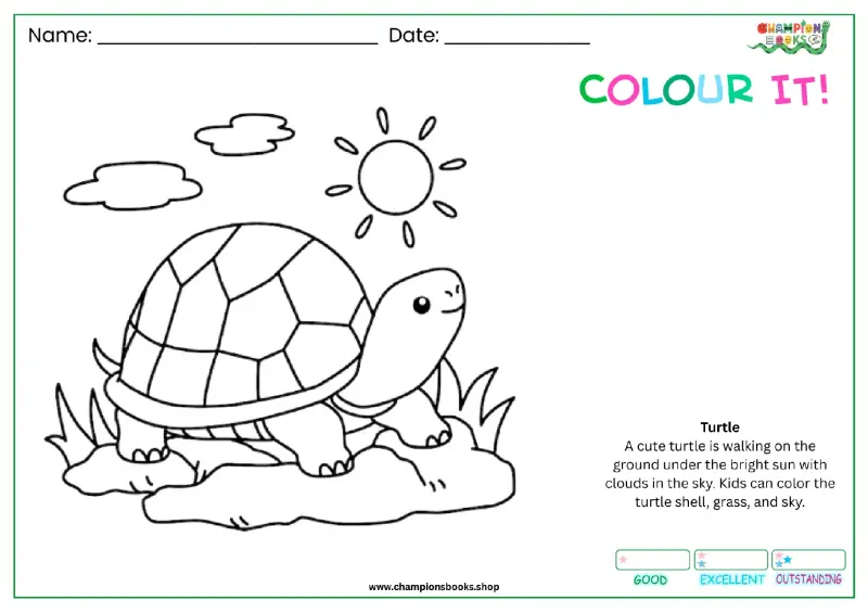 Cute Turtle Coloring Page for Kids - Free Printable!