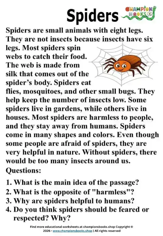 Spiders Reading Comprehension Worksheet for Grade 2