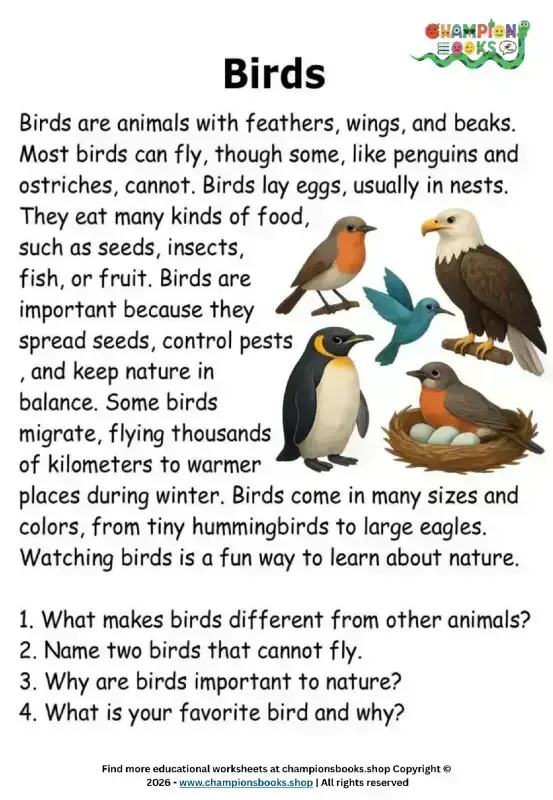 All about birds worksheet for Grade 2 featuring various birds like eagles, penguins, hummingbirds, and robins, with comprehension questions.