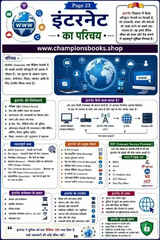 Introduction to Internet in Hindi Worksheet for Grade 5