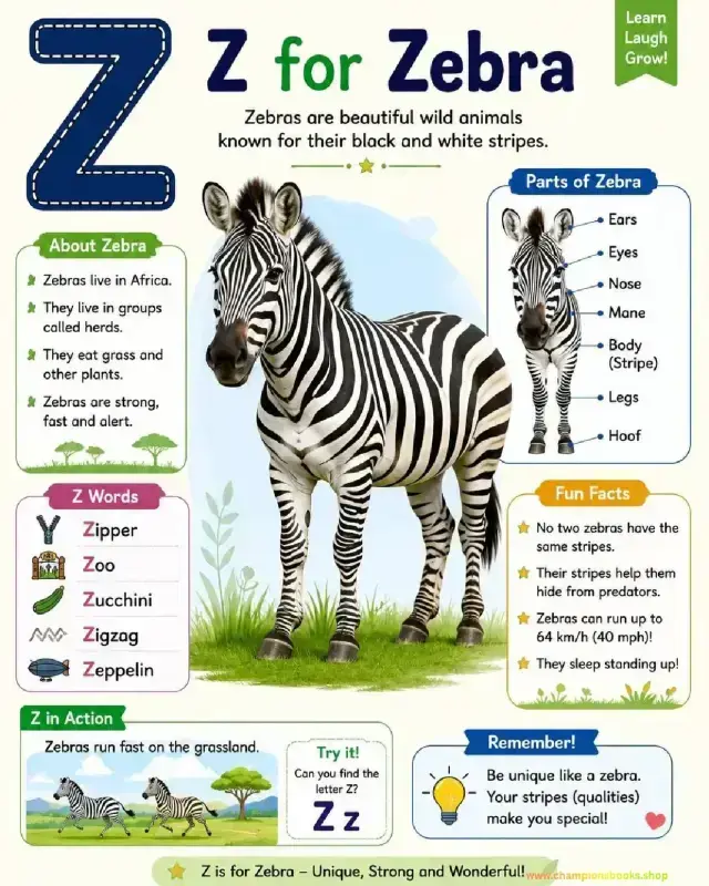 Letter Z Worksheet: Z is for Zebra Learning Chart