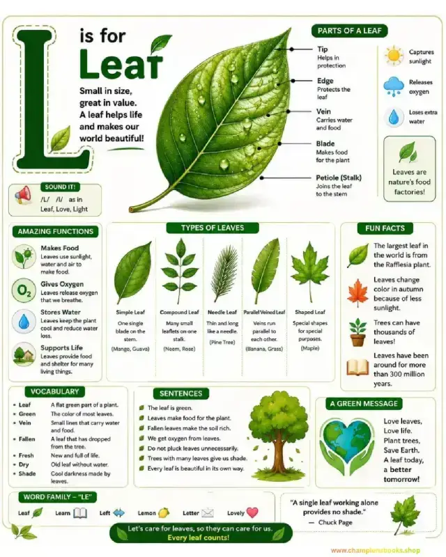 L is for Leaf Worksheet: Learn Phonics & Leaf Science